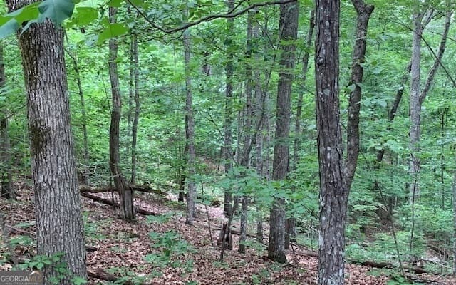 residential lot for sale at LOT 18 Bruce Mountain, Blairsville, GA 30512 — photo 9