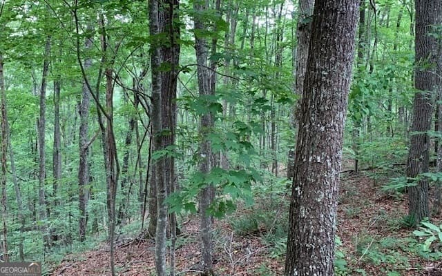 residential lot for sale at LOT 18 Bruce Mountain, Blairsville, GA 30512 — photo 10