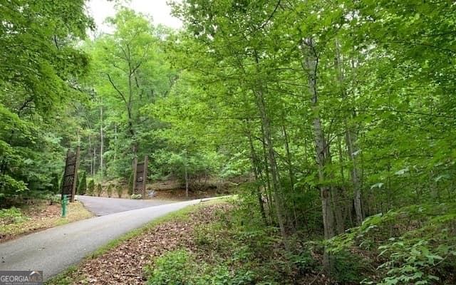 residential lot for sale at LOT 18 Bruce Mountain, Blairsville, GA 30512 — photo 4