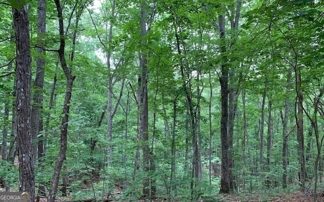 residential lot for sale at LOT 18 Bruce Mountain, Blairsville, GA 30512 — photo 8