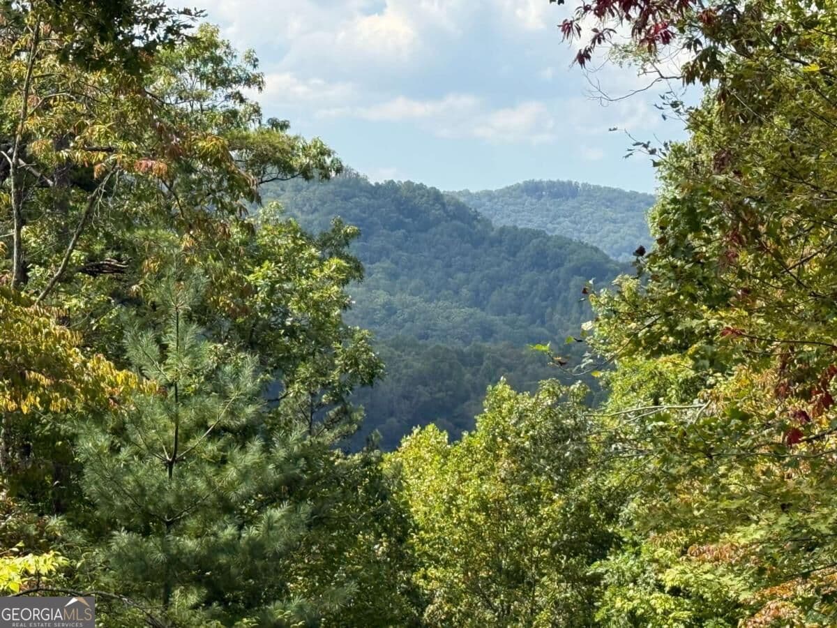 residential lot for sale at 0 Bethabara View 11, Hayesville, NC 28904 — photo 2
