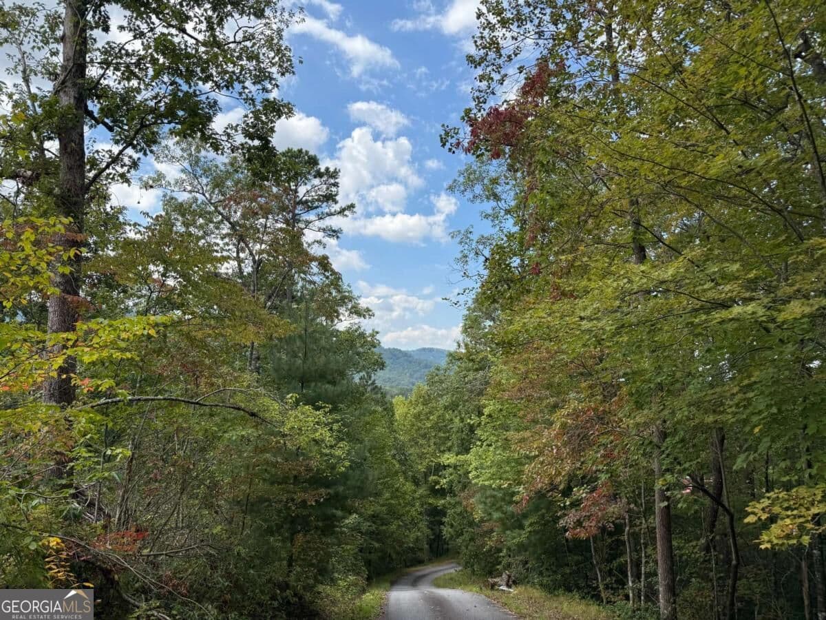 residential lot for sale at 0 Bethabara View 11, Hayesville, NC 28904 — photo 6