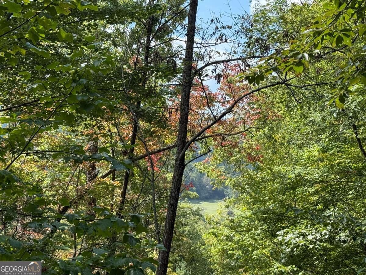 residential lot for sale at 0 Bethabara View 11, Hayesville, NC 28904 — photo 7