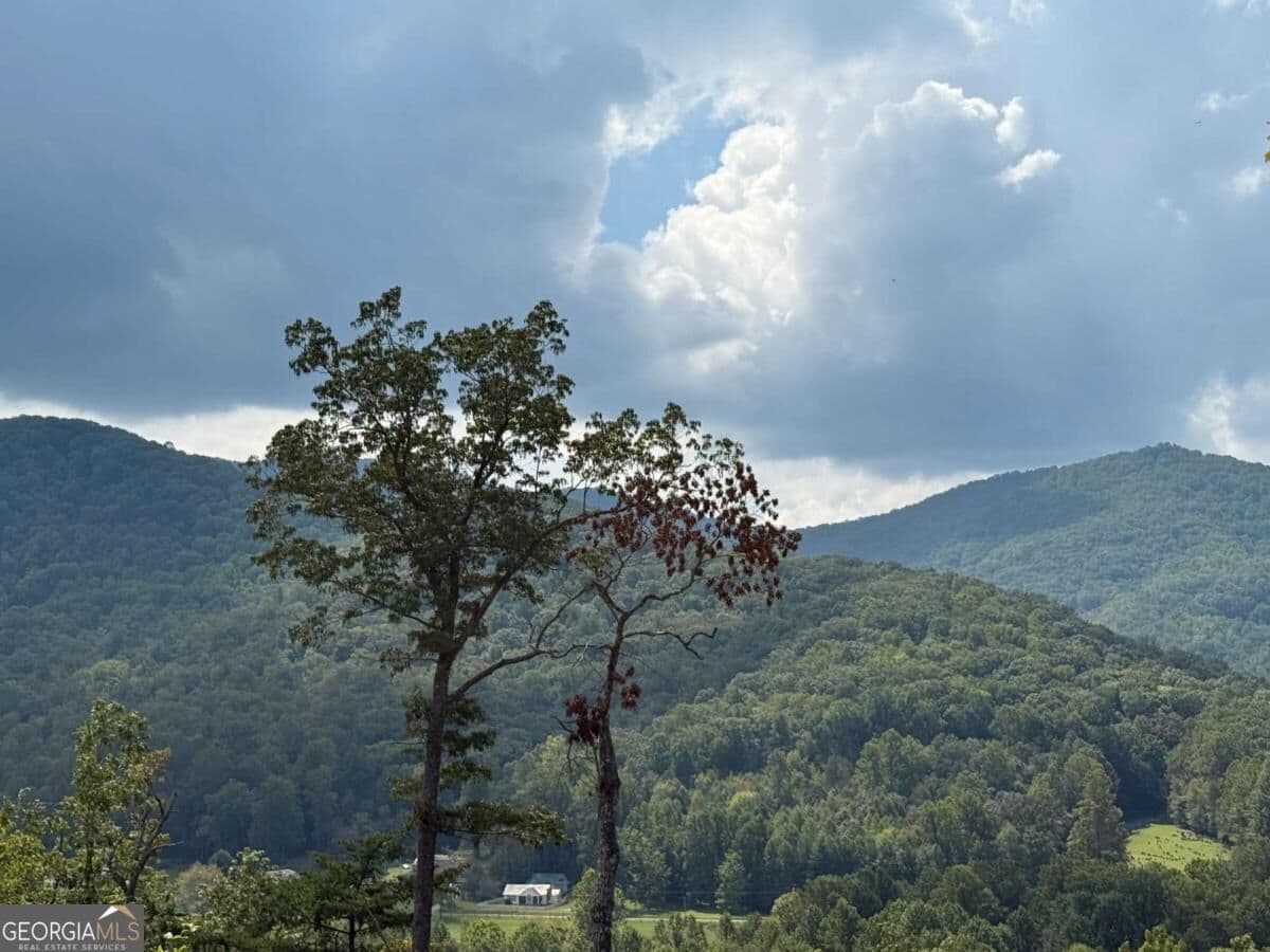 residential lot for sale at 0 Bethabara View 11, Hayesville, NC 28904 — photo 3