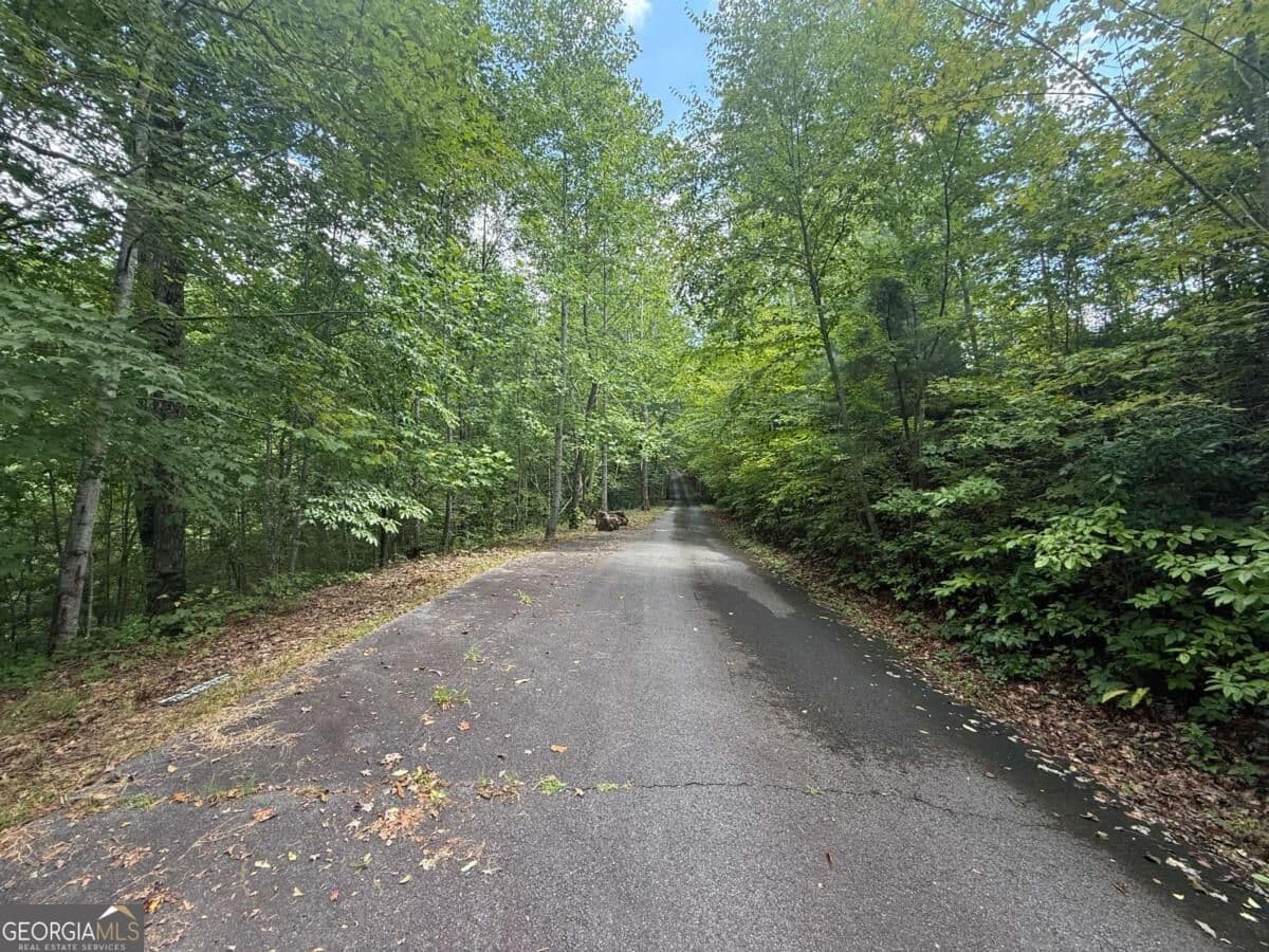 residential lot for sale at 0 Bethabara View 11, Hayesville, NC 28904 — photo 5