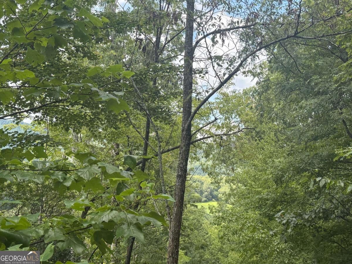 residential lot for sale at 0 Bethabara View 11, Hayesville, NC 28904 — photo 9