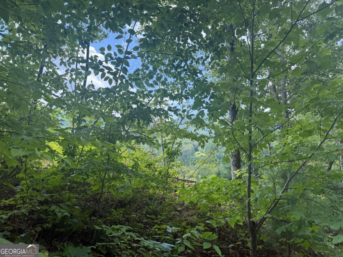 residential lot for sale at 0 Bethabara View 11, Hayesville, NC 28904 — photo 10