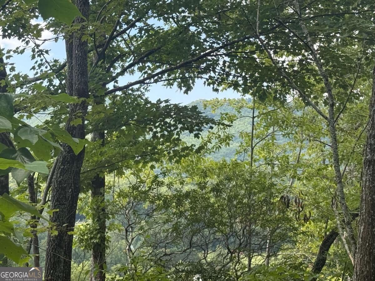 residential lot for sale at 0 Bethabara View 11, Hayesville, NC 28904 — photo 4