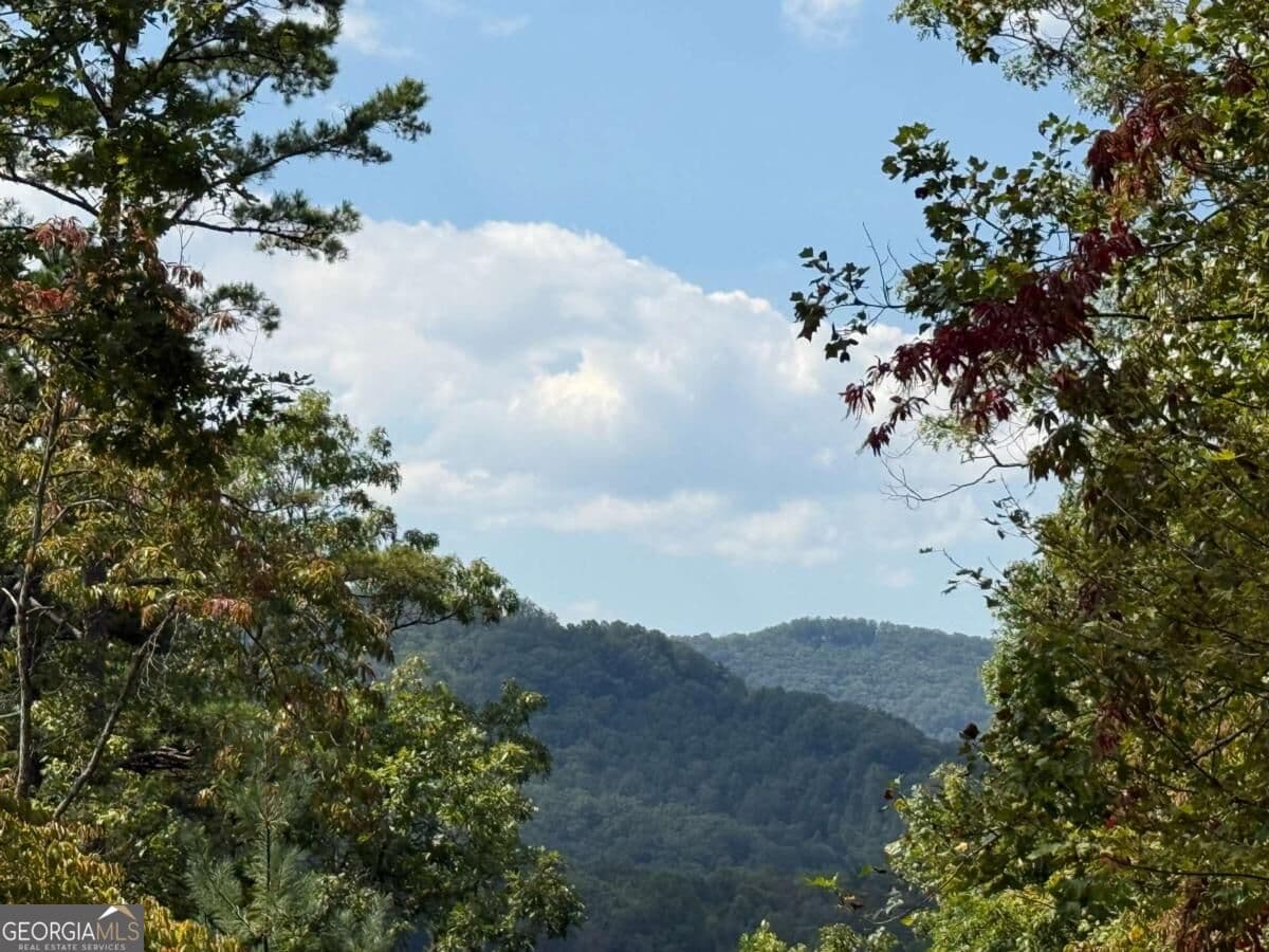 residential lot for sale at 0 Bethabara View 11, Hayesville, NC 28904 — photo 8