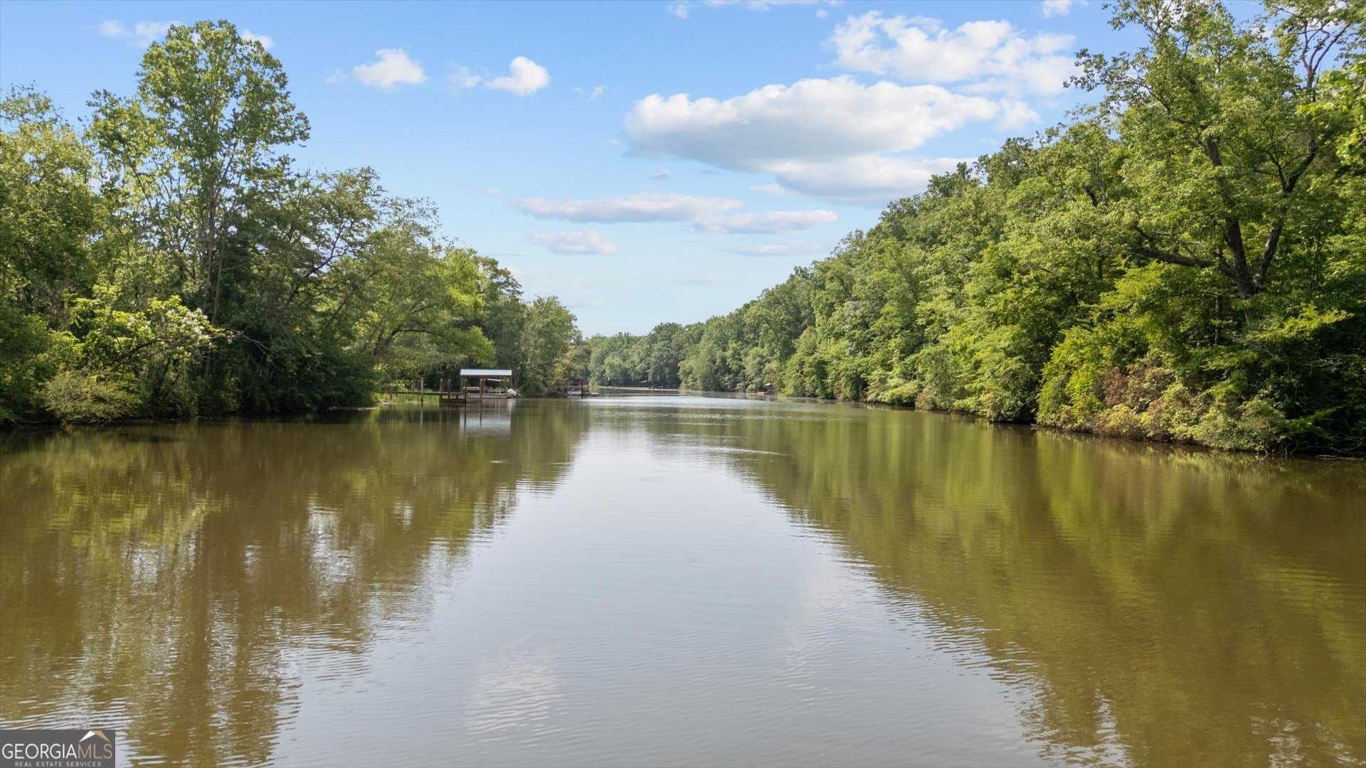 residential lot for sale at 1461 County Road 499, Woodland, AL 36280 — photo 2