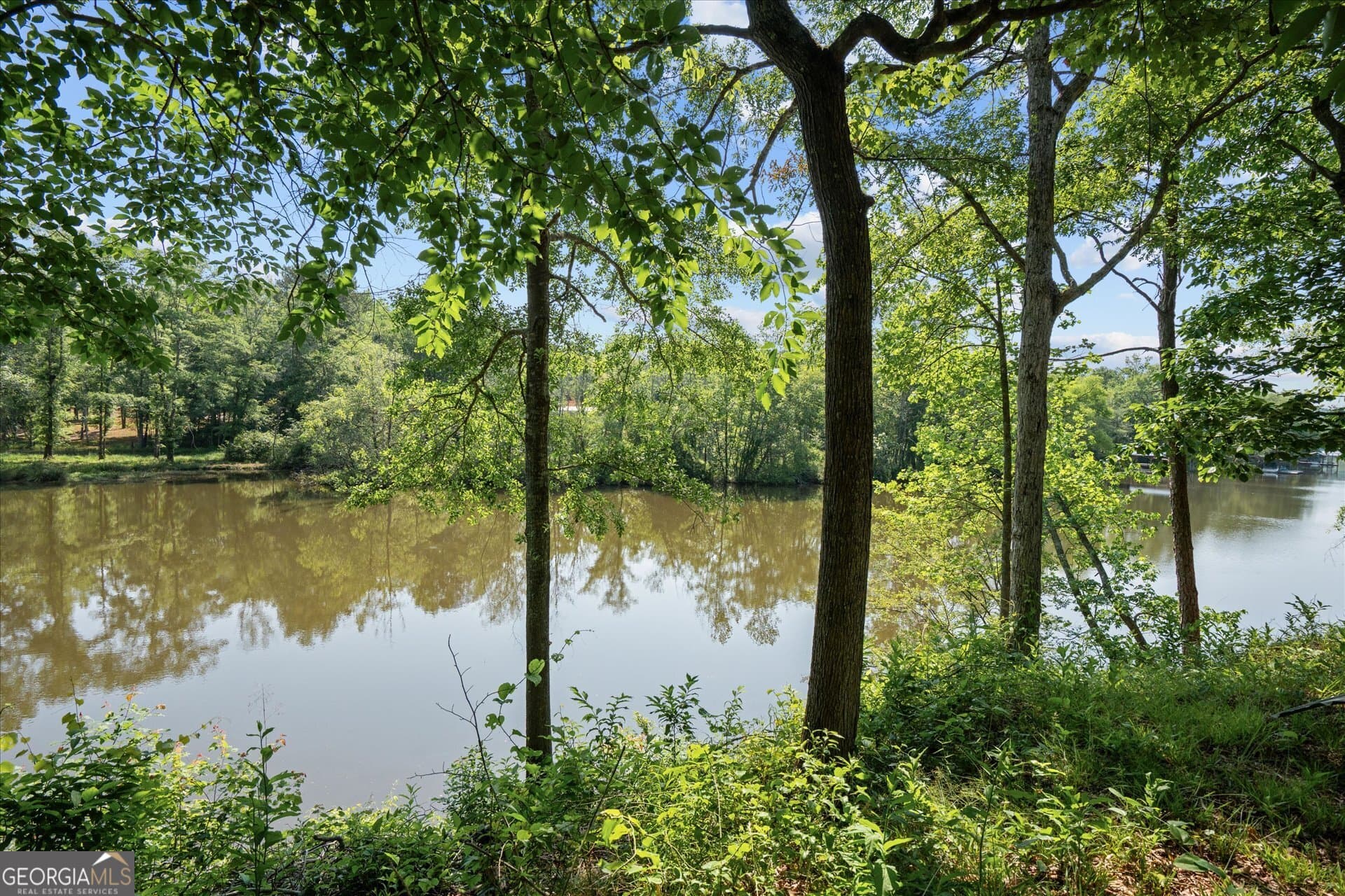 residential lot for sale at 1461 County Road 499, Woodland, AL 36280 — photo 6