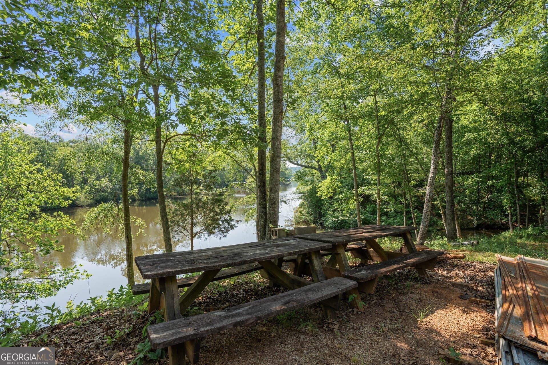 residential lot for sale at 1461 County Road 499, Woodland, AL 36280 — photo 7