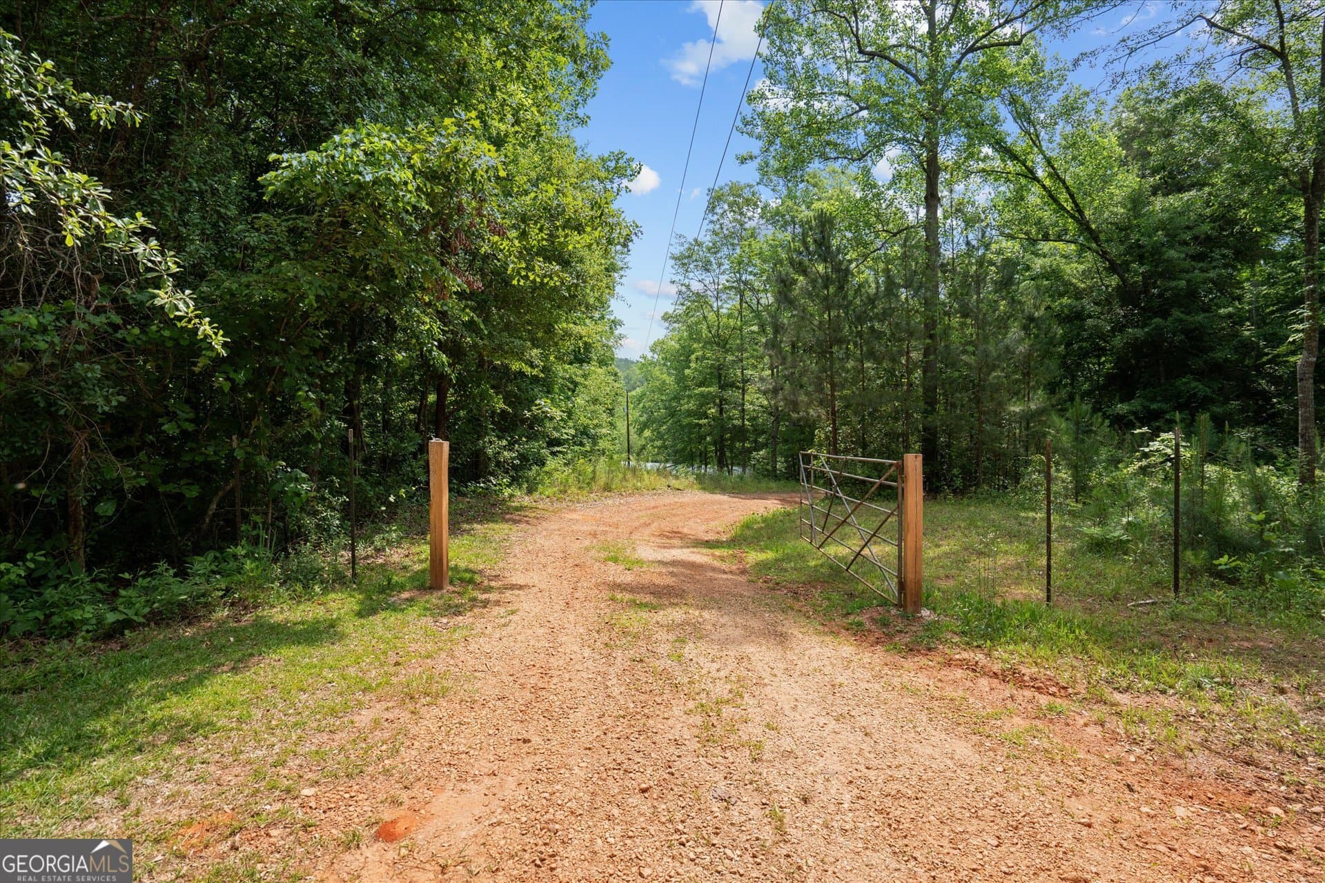 residential lot for sale at 1461 County Road 499, Woodland, AL 36280 — photo 5