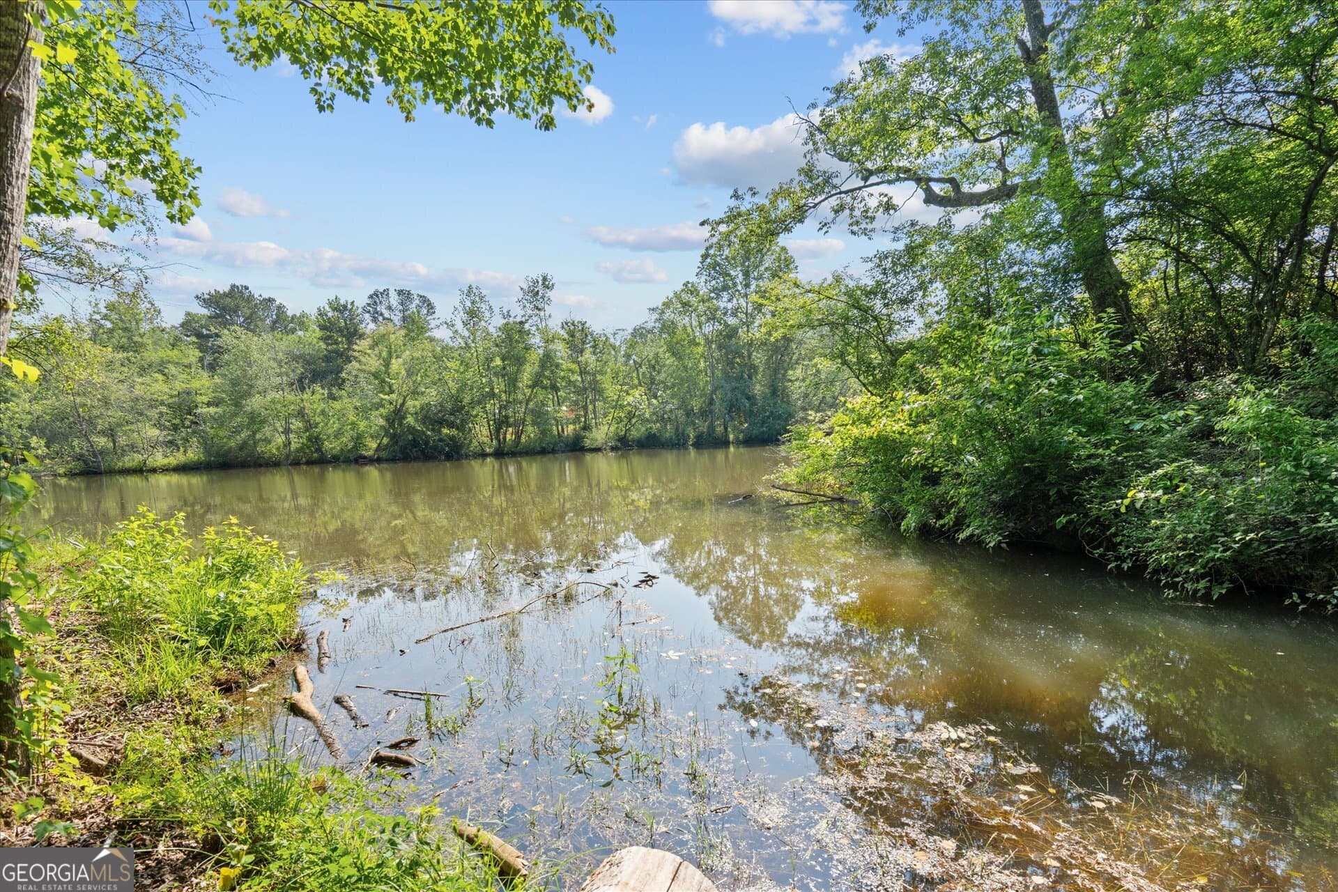 residential lot for sale at 1461 County Road 499, Woodland, AL 36280 — photo 8