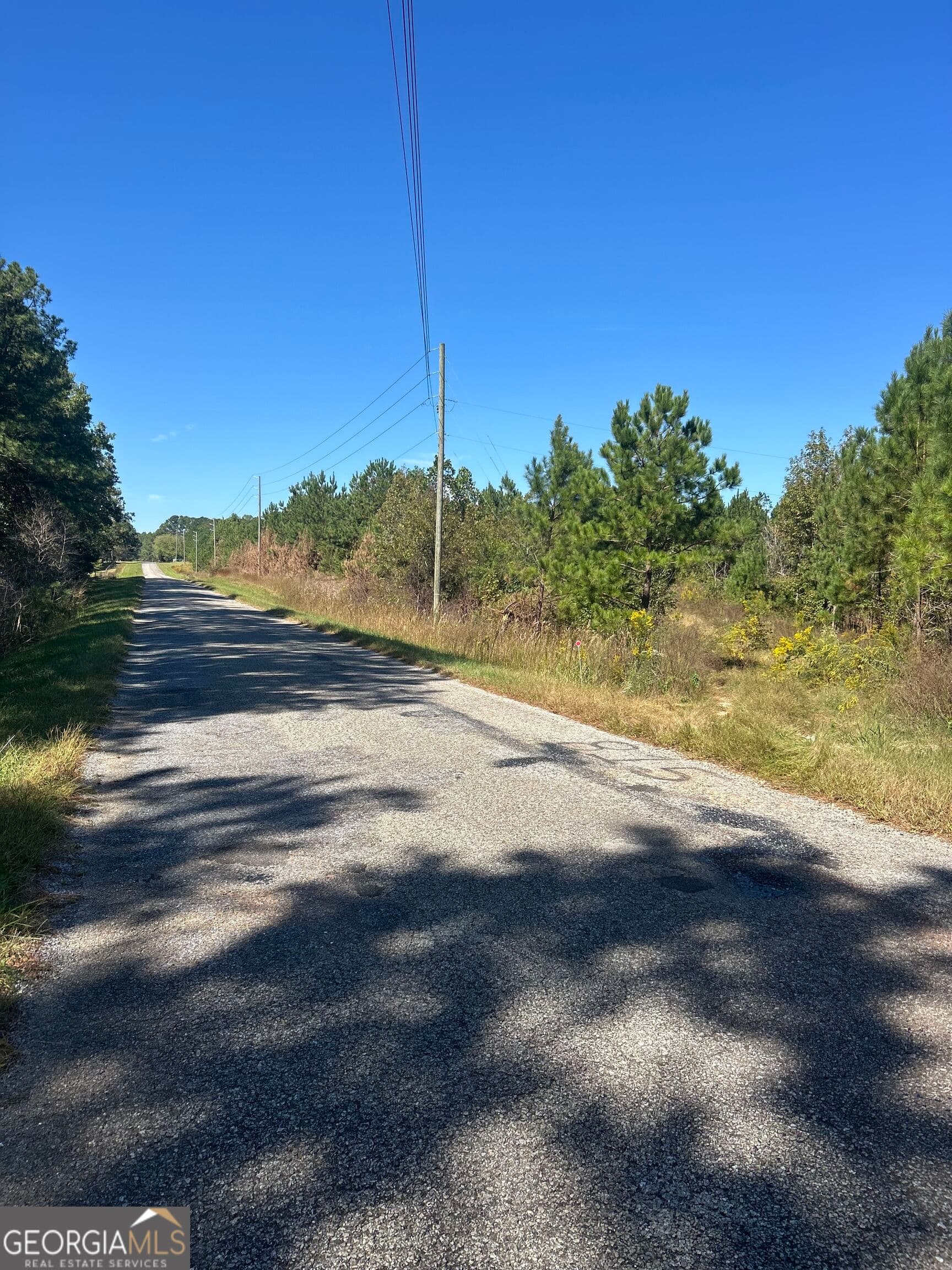agriculture for sale at 815 County Rd 473, Woodland, AL 36280 — photo 2