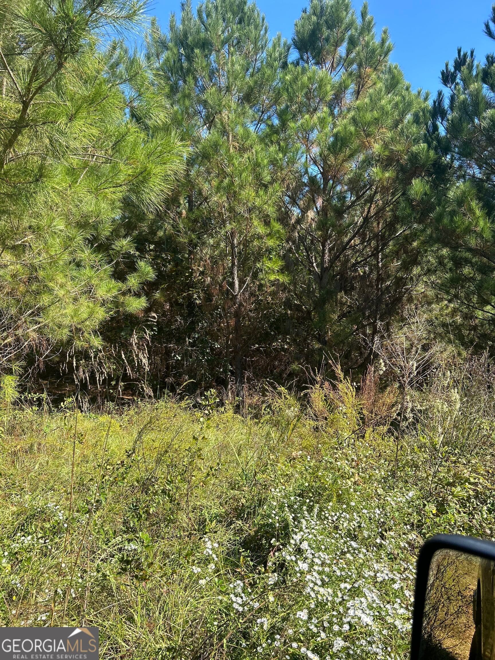 agriculture for sale at 815 County Rd 473, Woodland, AL 36280 — photo 6