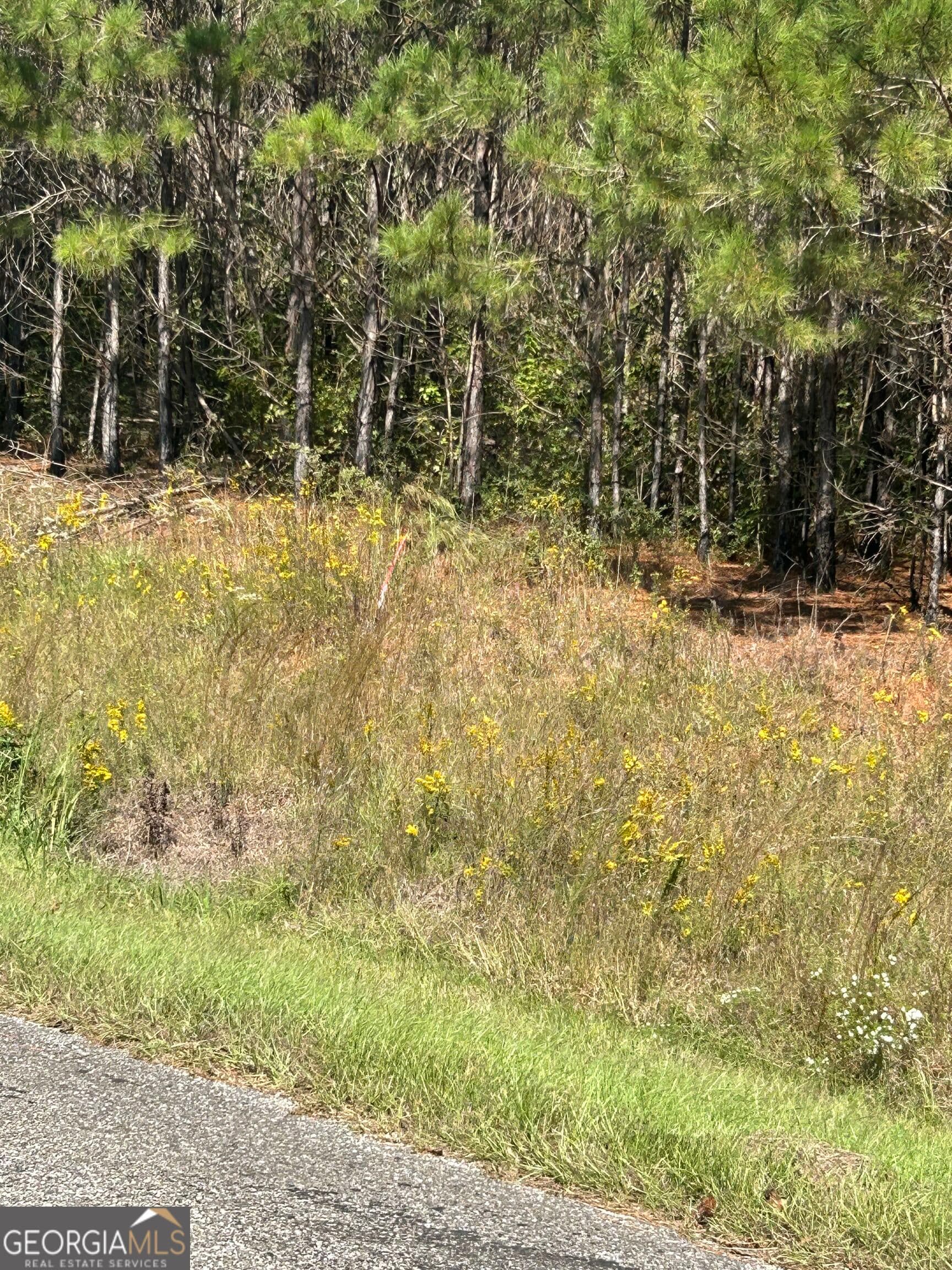 agriculture for sale at 815 County Rd 473, Woodland, AL 36280 — photo 7