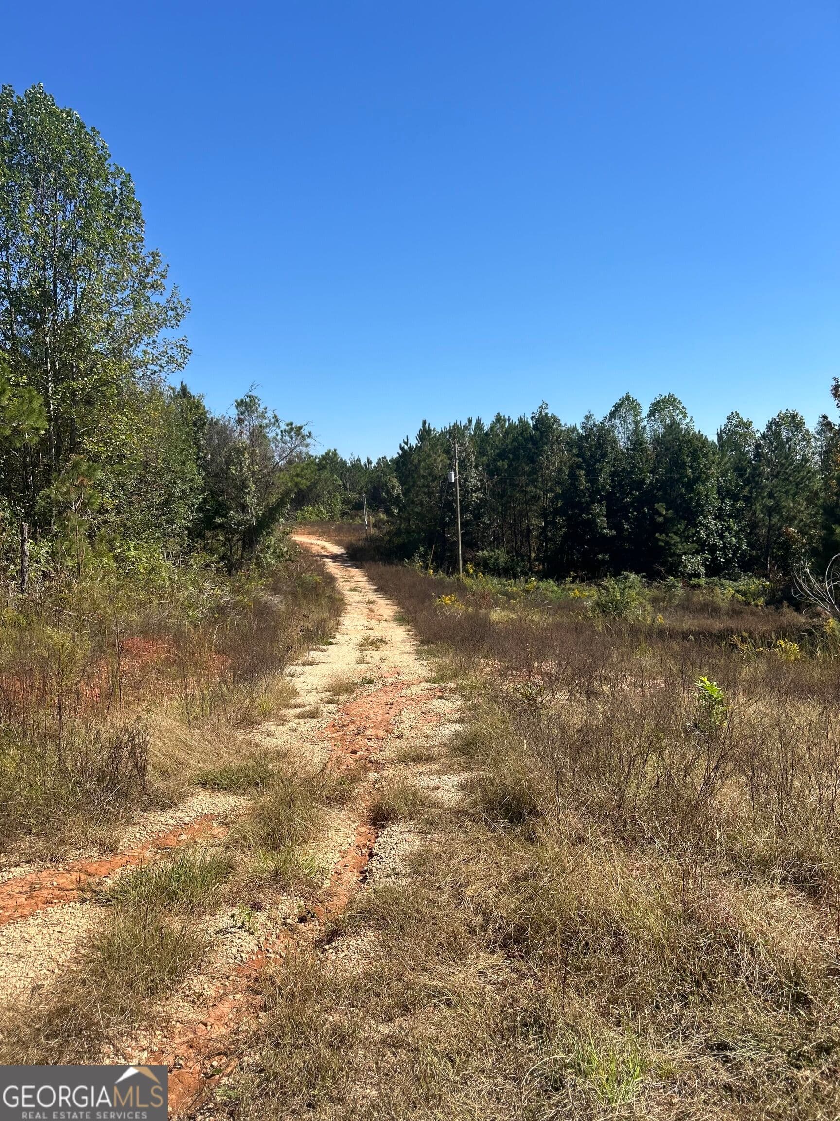 agriculture for sale at 815 County Rd 473, Woodland, AL 36280 — photo 3