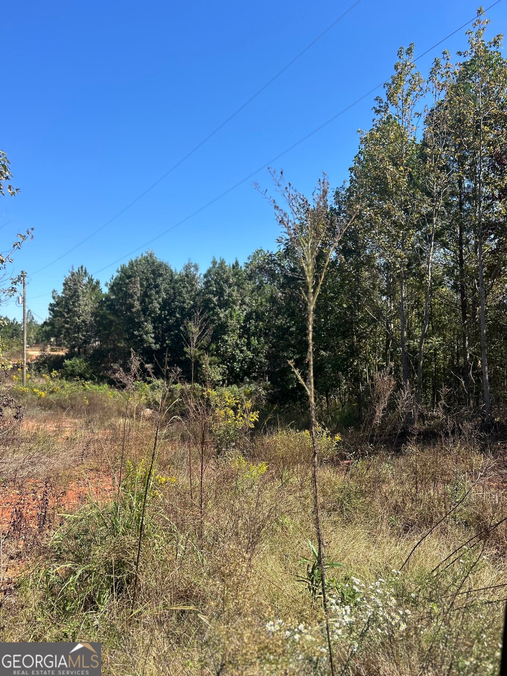 agriculture for sale at 815 County Rd 473, Woodland, AL 36280 — photo 5