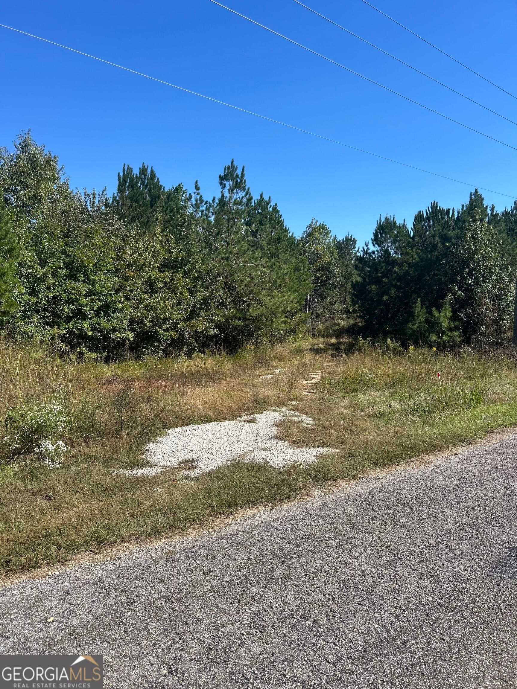 agriculture for sale at 815 County Rd 473, Woodland, AL 36280 — photo 4