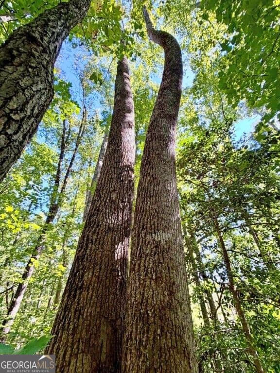 agriculture for sale at 0 Hatcher Spangler Road, Shelby, NC 28150 — photo 2