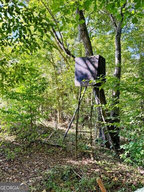 agriculture for sale at 0 Hatcher Spangler Road, Shelby, NC 28150 — photo 6