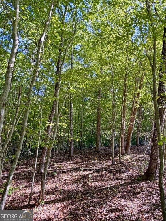 agriculture for sale at 0 Hatcher Spangler Road, Shelby, NC 28150 — photo 7