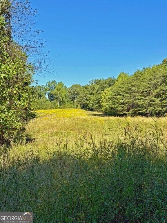 agriculture for sale at 0 Hatcher Spangler Road, Shelby, NC 28150 — photo 3