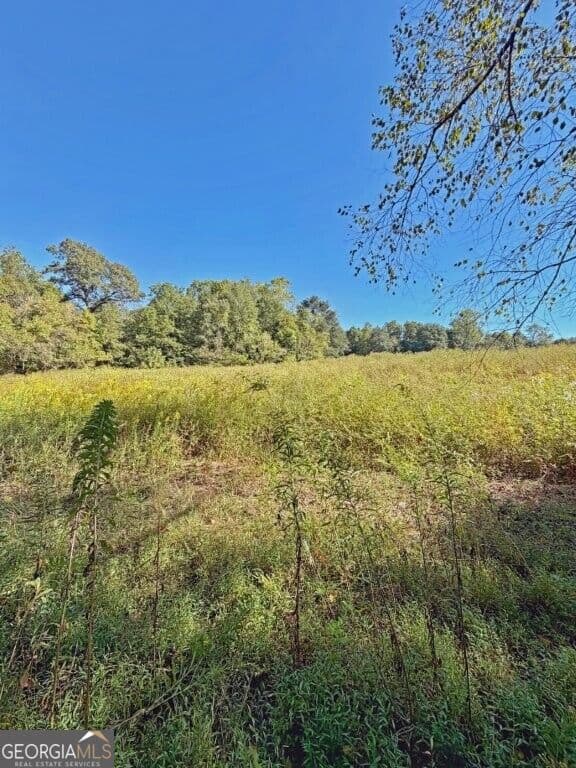 agriculture for sale at 0 Hatcher Spangler Road, Shelby, NC 28150 — photo 10