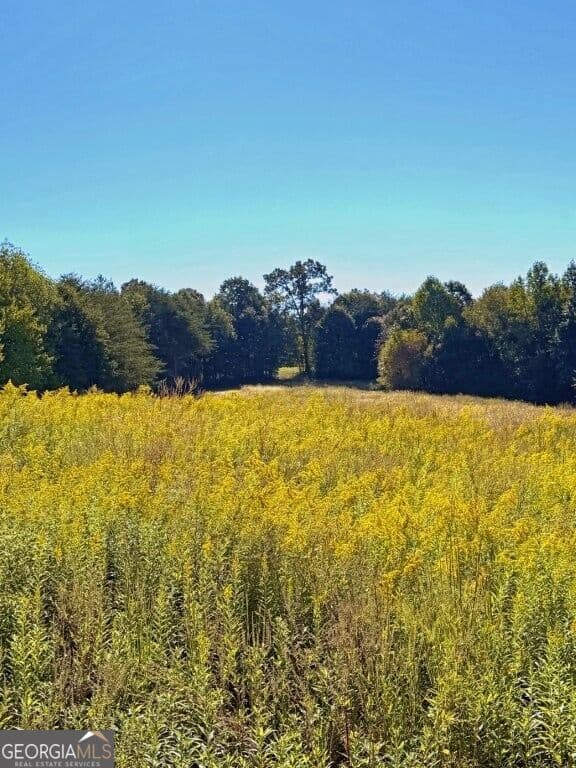 agriculture for sale at 0 Hatcher Spangler Road, Shelby, NC 28150 — photo 4