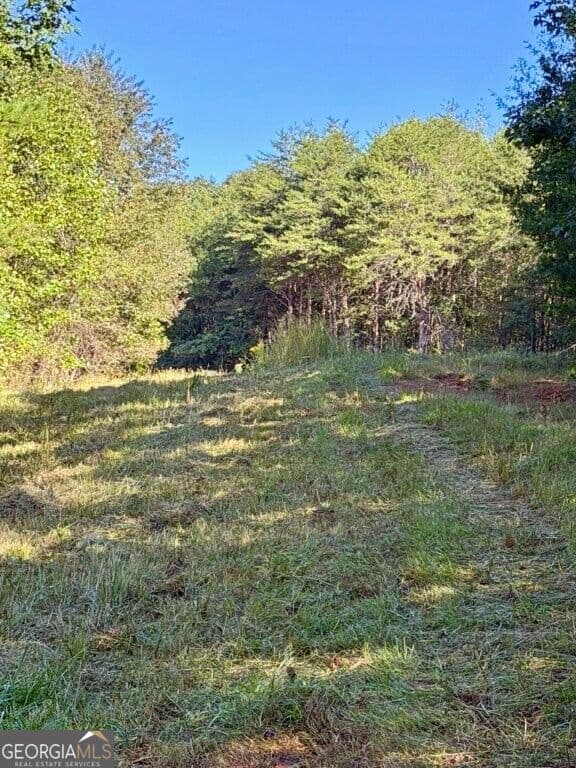 agriculture for sale at 0 Hatcher Spangler Road, Shelby, NC 28150 — photo 8