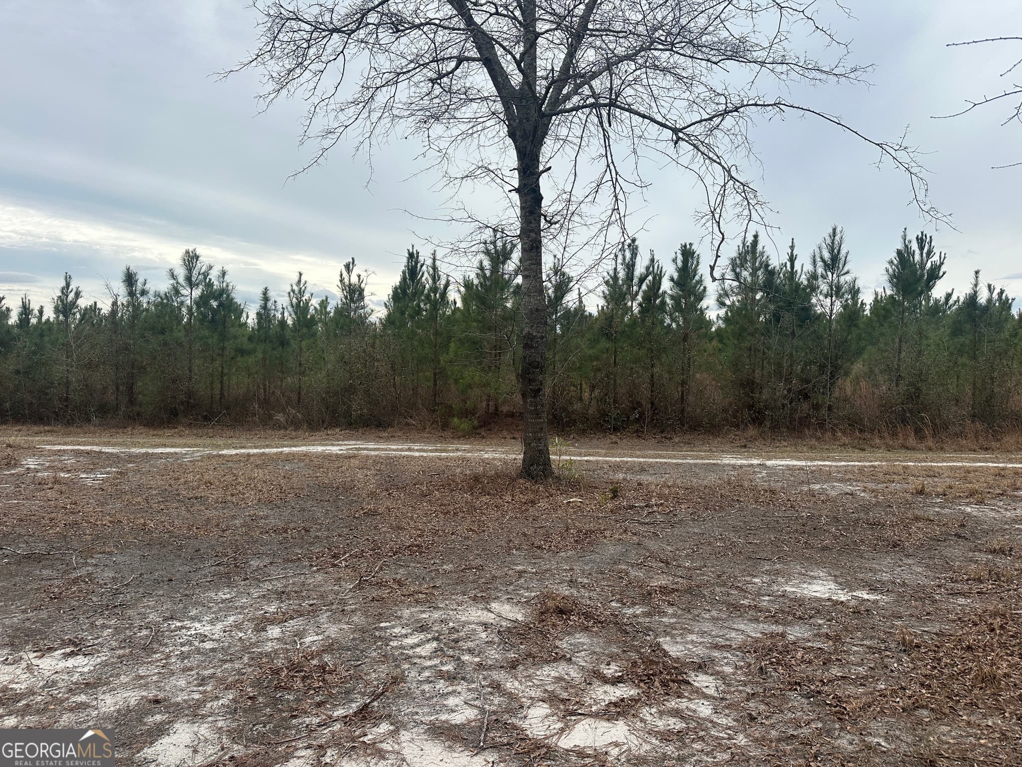 agriculture for sale at 160 Landing Road, Sylvania, GA 30467 — photo 2