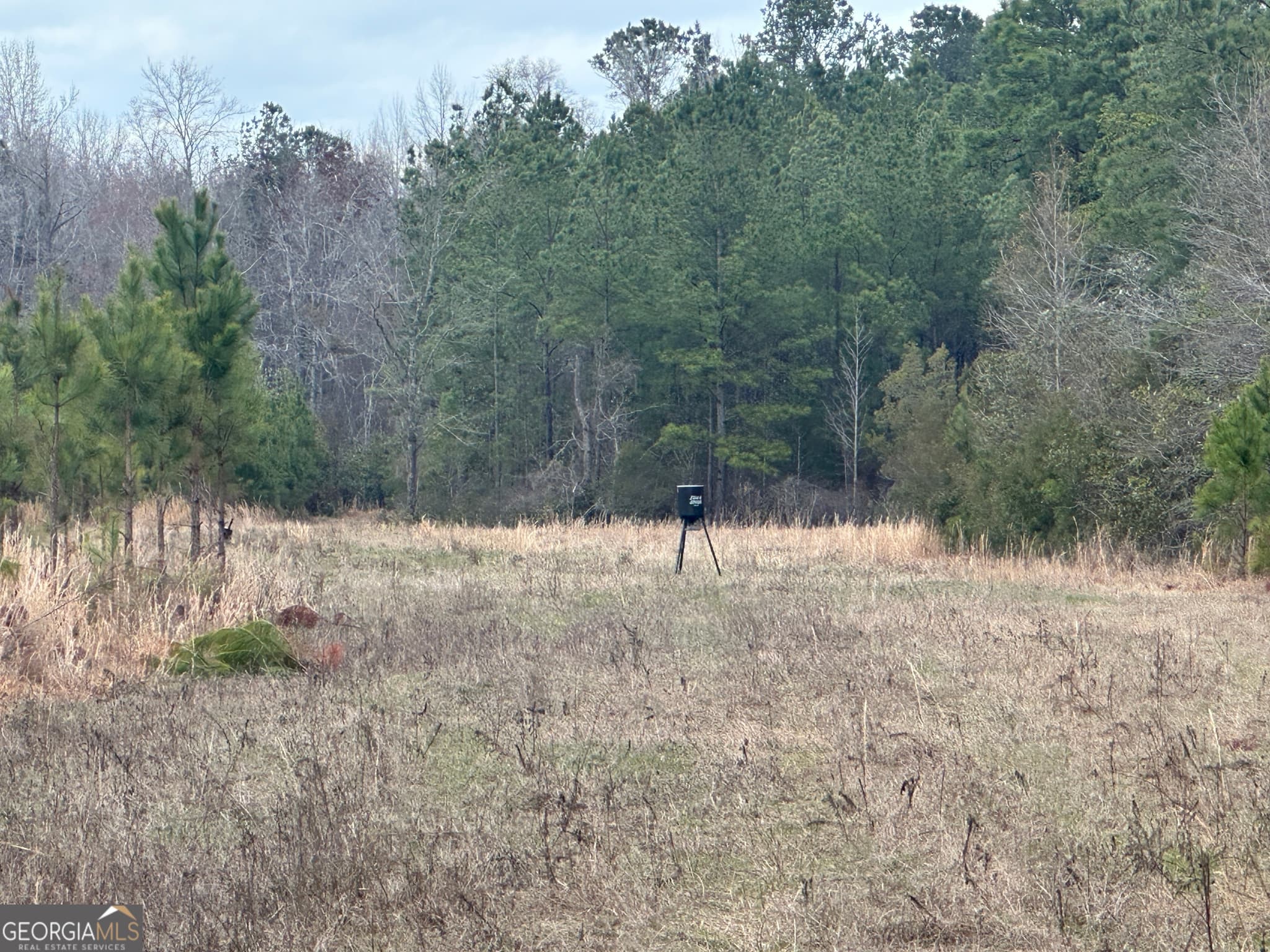 agriculture for sale at 160 Landing Road, Sylvania, GA 30467 — photo 6