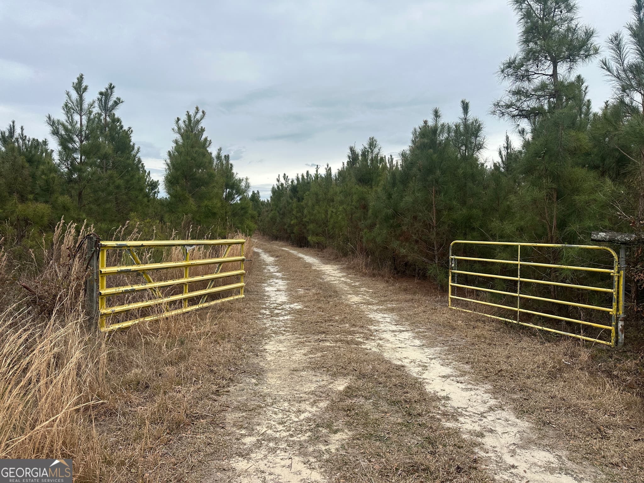 agriculture for sale at 160 Landing Road, Sylvania, GA 30467 — photo 7