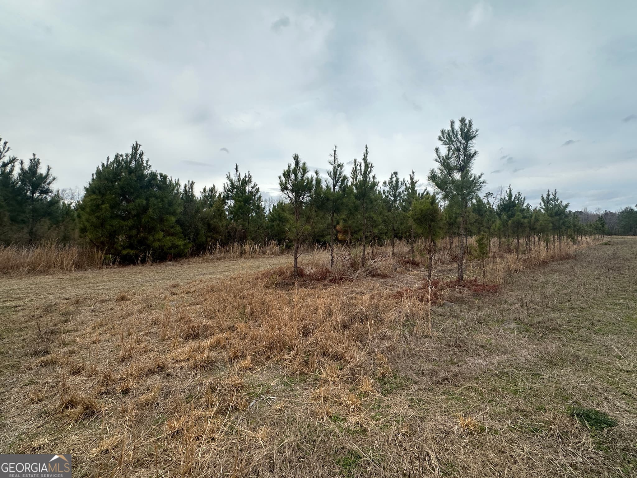 agriculture for sale at 160 Landing Road, Sylvania, GA 30467 — photo 5