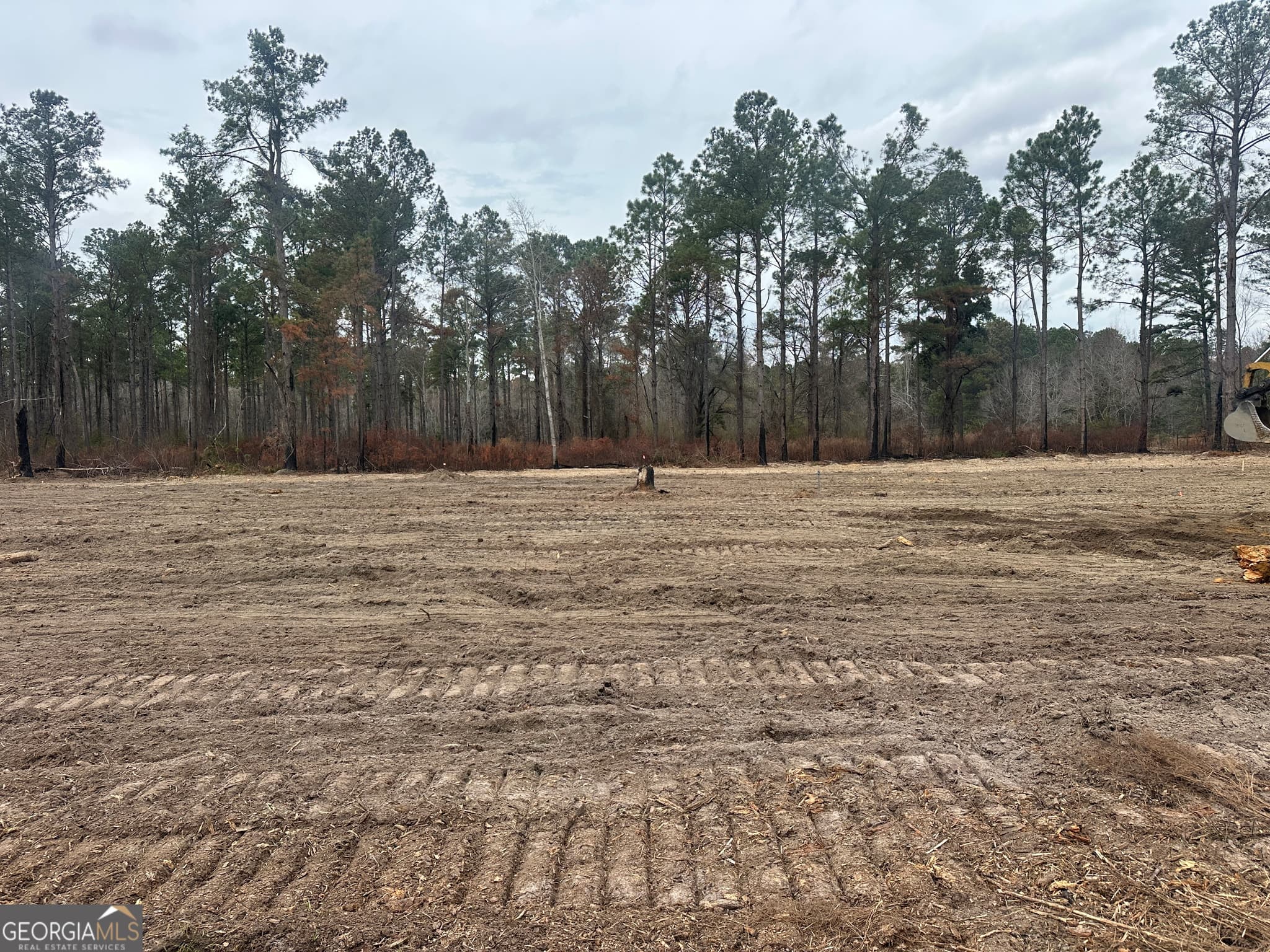 agriculture for sale at 160 Landing Road, Sylvania, GA 30467 — photo 9