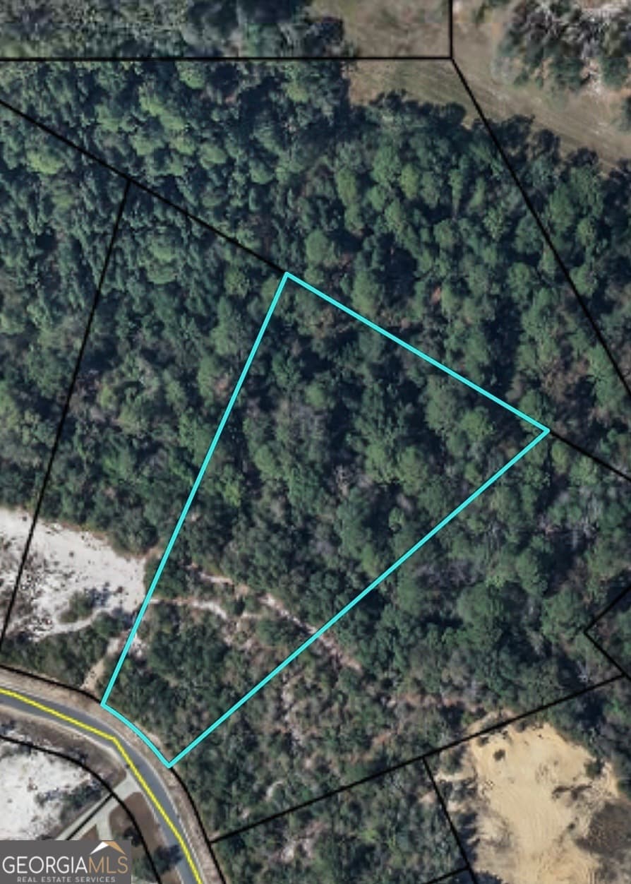 residential lot for sale at 0 Plantation Pines Drive, Blackshear, GA 31516 — photo 3