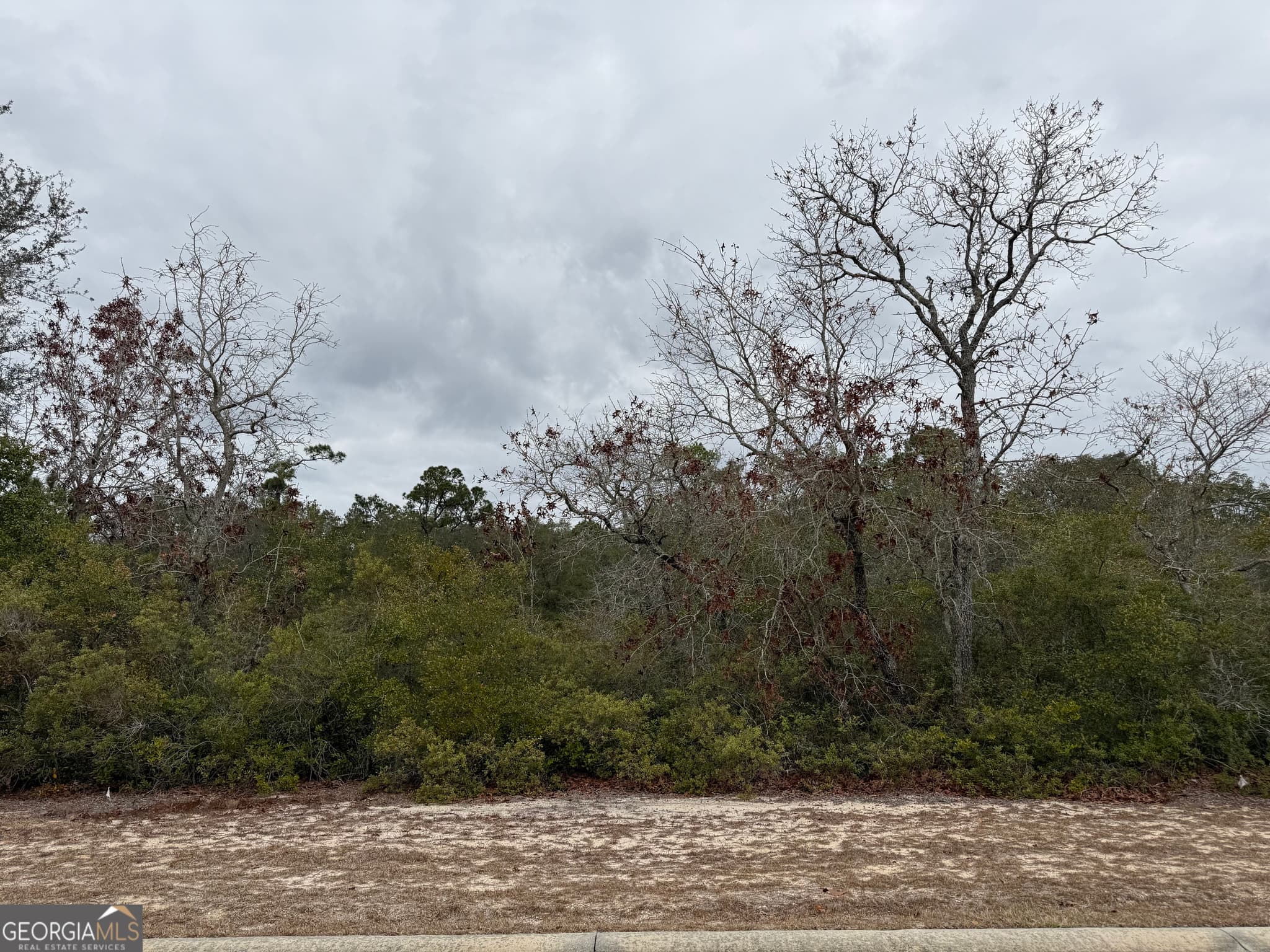 residential lot for sale at 0 Plantation Pines Drive, Blackshear, GA 31516 — photo 1 of 6