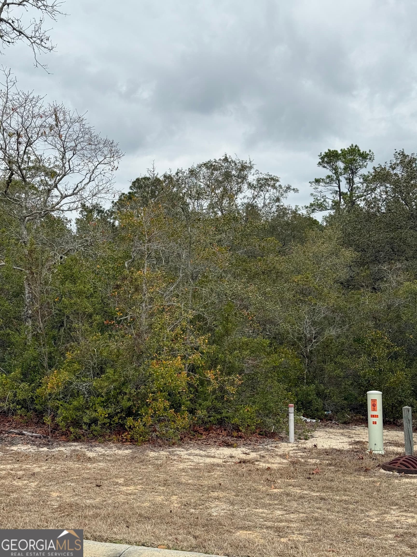 residential lot for sale at 0 Plantation Pines Drive, Blackshear, GA 31516 — photo 5