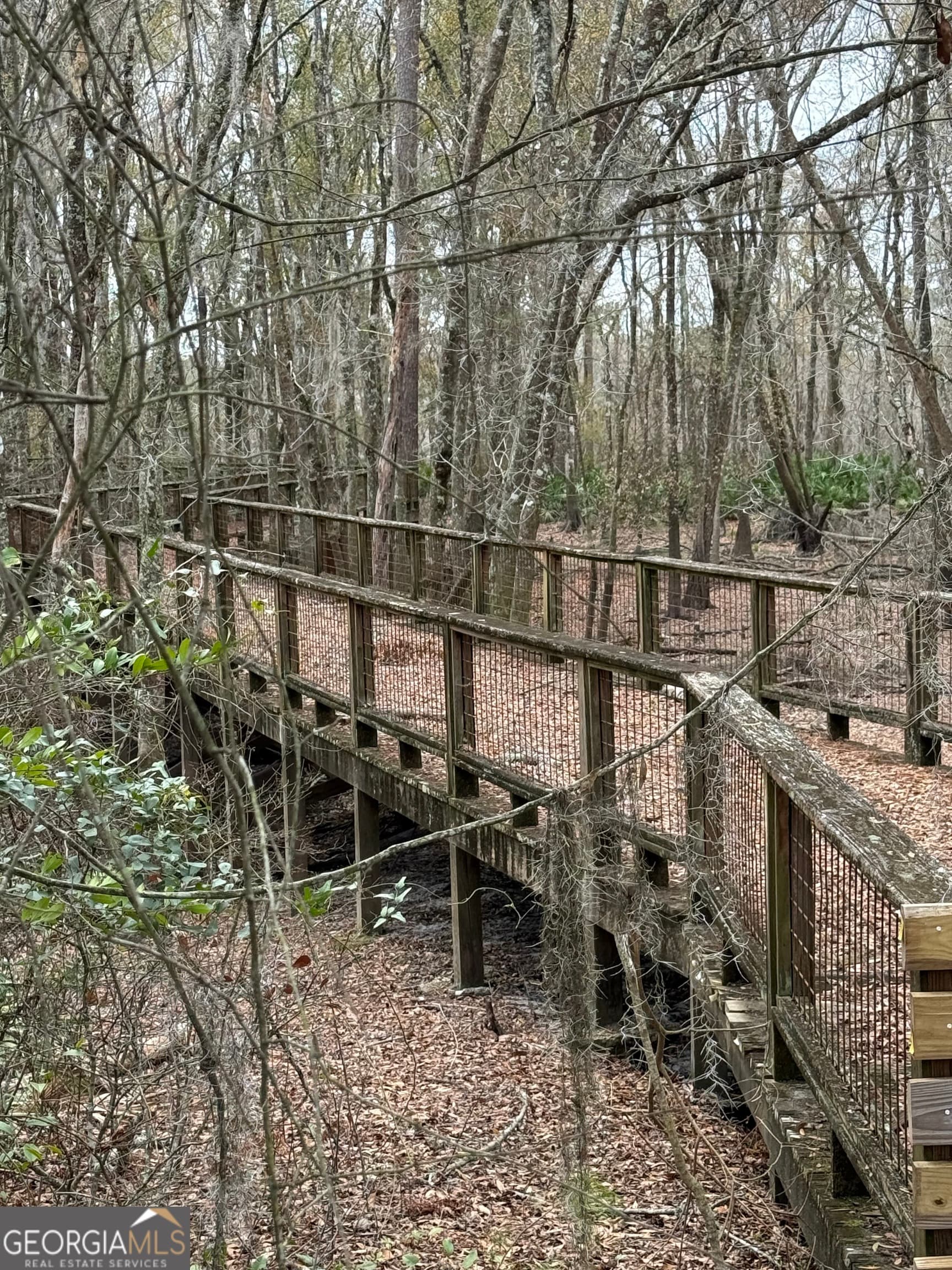 residential lot for sale at 0 Plantation Pines Drive, Blackshear, GA 31516 — photo 4