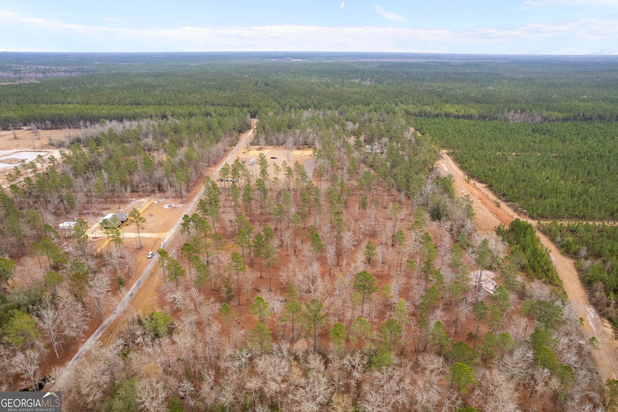 residential lot for sale at TRACT 1 Loggan Lane, Jesup, GA 31546 — photo 5