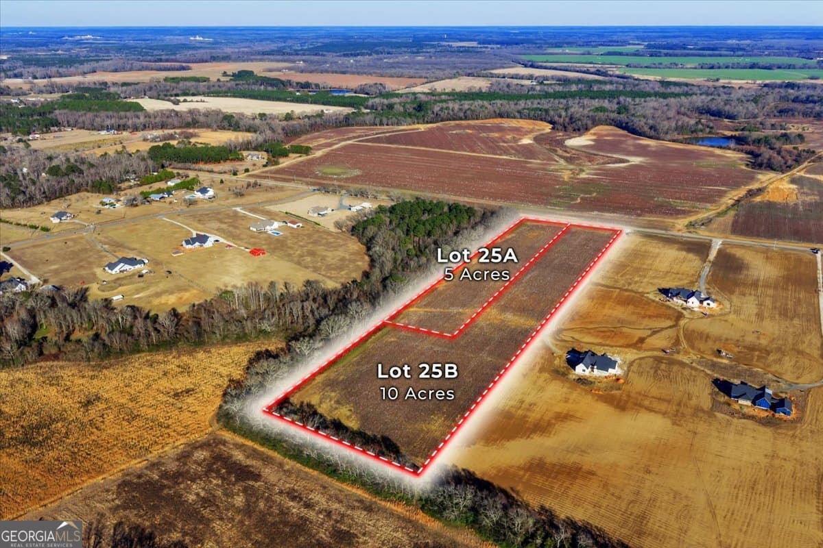 agriculture sold at 2567 (LOT 25A) Elko Road, Elko, GA 31025
