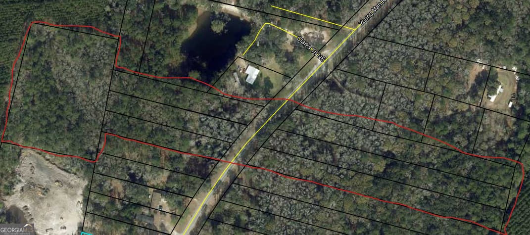 unimproved land for sale at 0 Youngman Road, Townsend, GA 31331 — photo 2