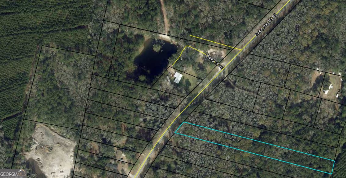 unimproved land for sale at 0 Youngman Road, Townsend, GA 31331 — photo 6
