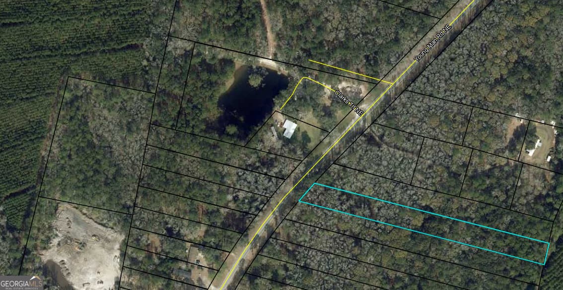 unimproved land for sale at 0 Youngman Road, Townsend, GA 31331 — photo 7