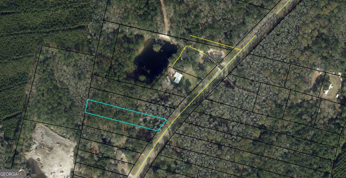 unimproved land for sale at 0 Youngman Road, Townsend, GA 31331 — photo 3