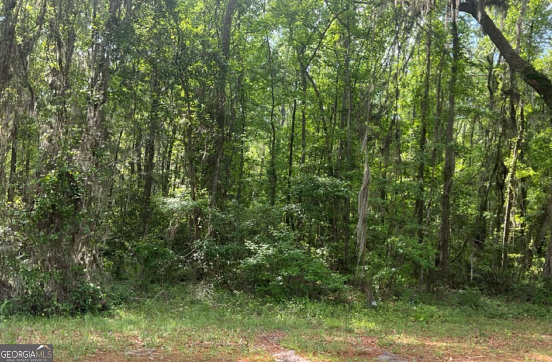 unimproved land for sale at 0 Youngman Road, Townsend, GA 31331