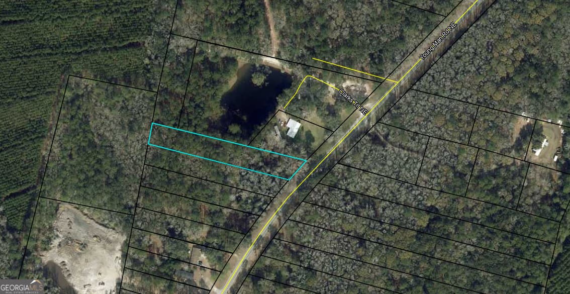 unimproved land for sale at 0 Youngman Road, Townsend, GA 31331 — photo 5