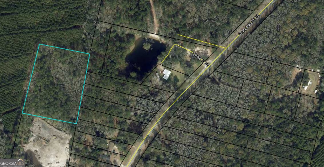 unimproved land for sale at 0 Youngman Road, Townsend, GA 31331 — photo 9