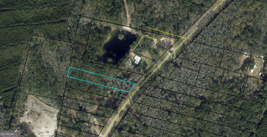 unimproved land for sale at 0 Youngman Road, Townsend, GA 31331 — photo 4